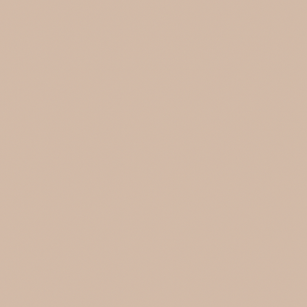 20250801_1049_Hex_Color_CFB4A7_simple_compose_01k1hkd35dfkbs3mt7ckydkr1r.png