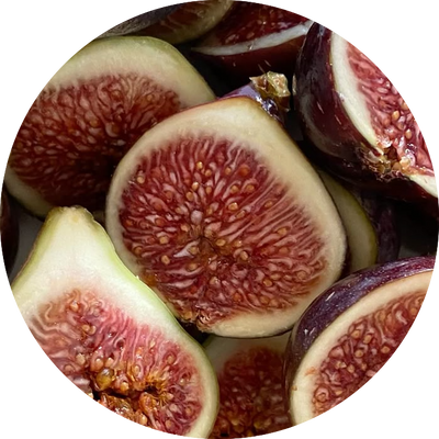 Fig Fruit Extract