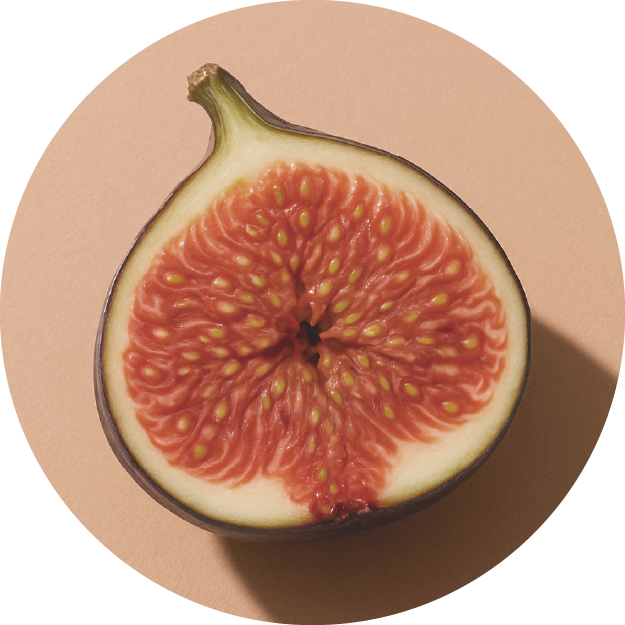 fig extract