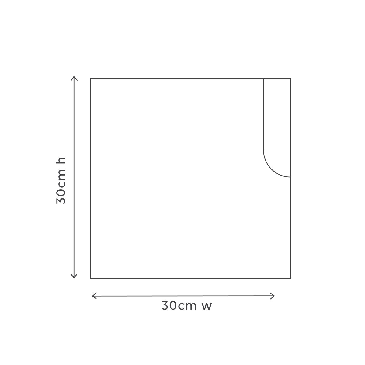 Bathroom Microfibre Cloth