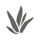 WEB_ICON_UPDATE23_BOTANIC.png